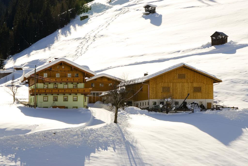 Appartement Kleinellmauhof Grossarl